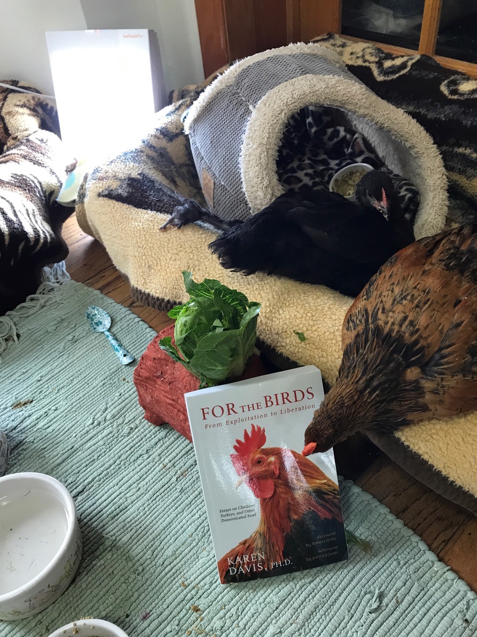 2019 CRR Calendar Contest: For the Birds