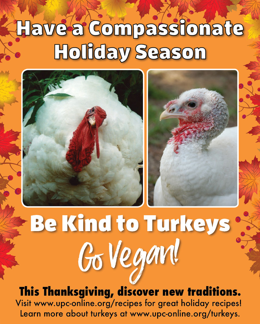 Have a Compassionate Holiday Season - Go Vegan!