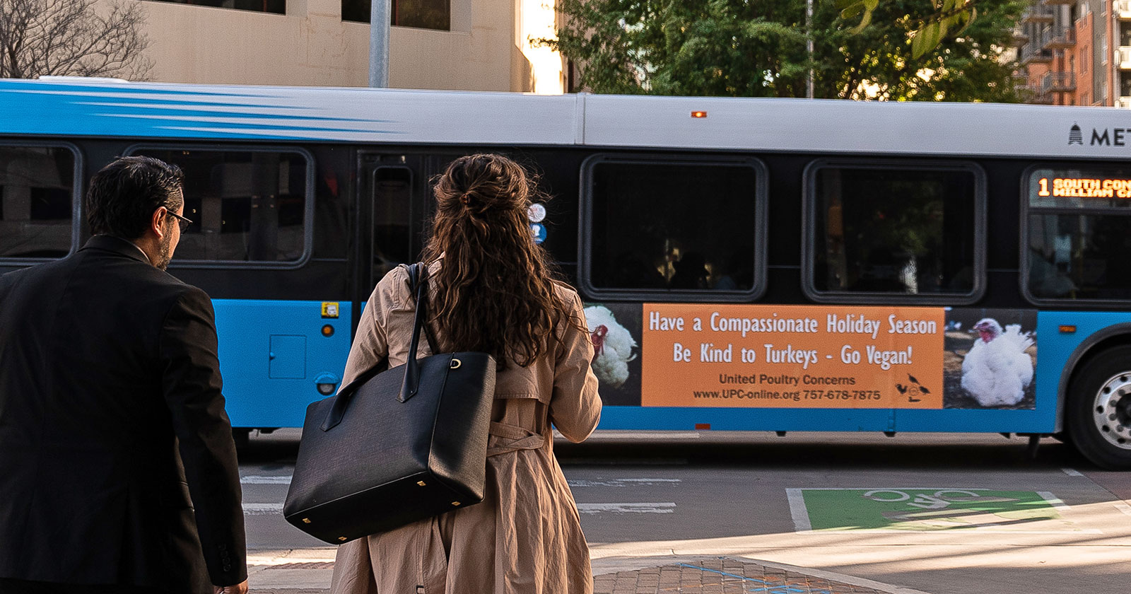Our Turkey Bus Posters Win Praises in Austin, Texas!)