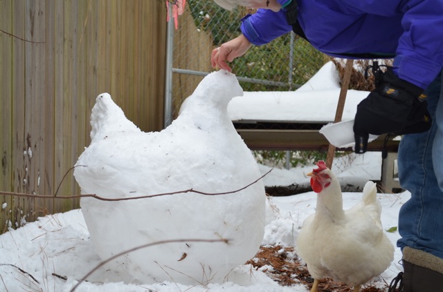 Carol puts the final touches on the snow hen