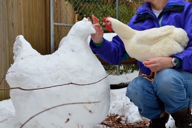 Hope looking at the snow hen eye to eye