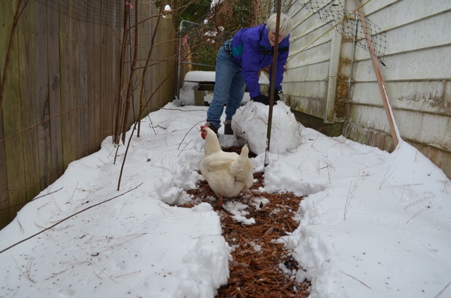 Carol rolling a ball a snow.
