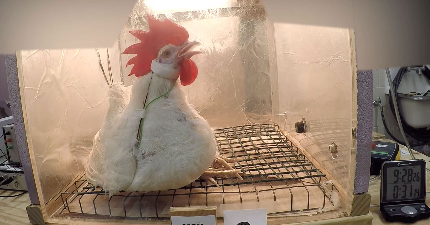 NC State Univesity VSD Experiment