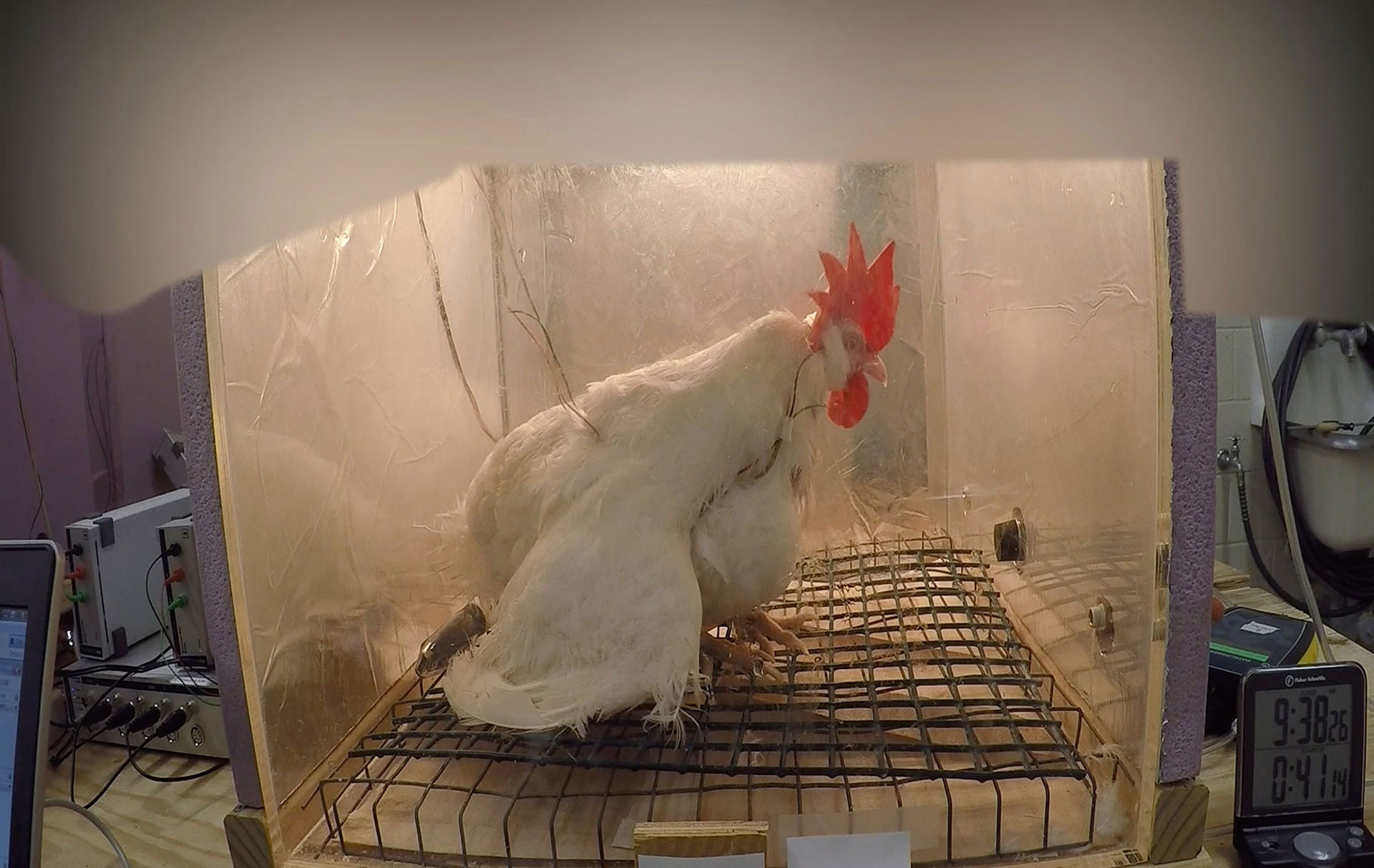 NC State Univesity VSD Experiment