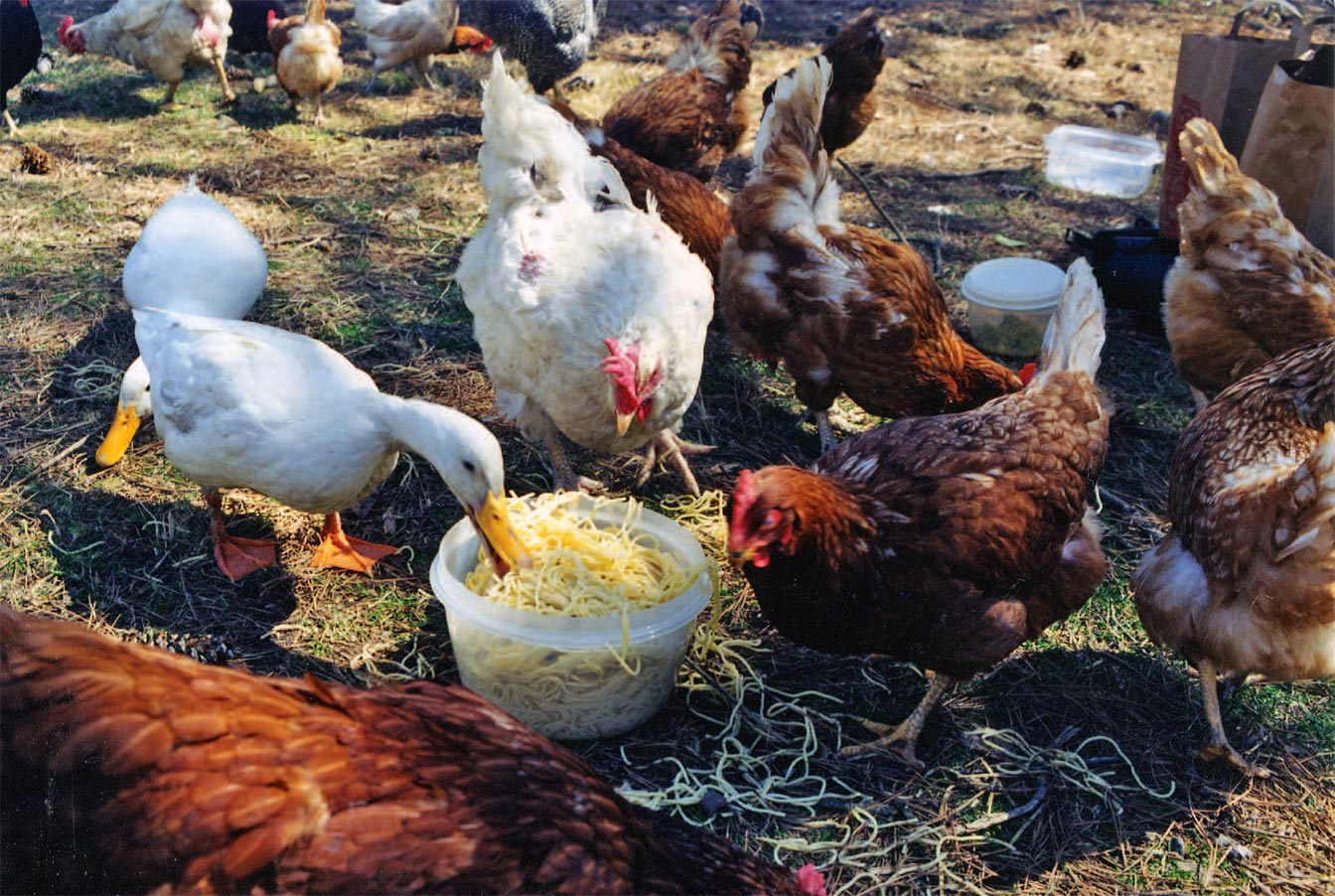 Spaghetti Party at UPC!