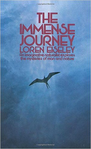 The Bird and the Machine book cover