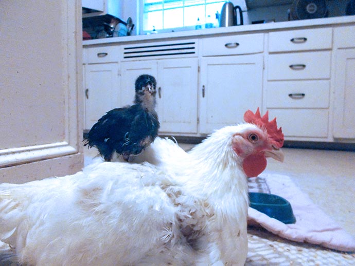 Gabby standing on Felix