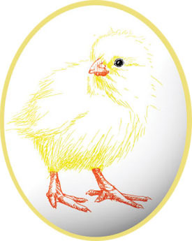 chick_in_egg (22K)