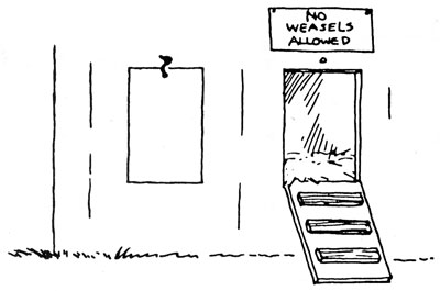 Coop doors and Ramps