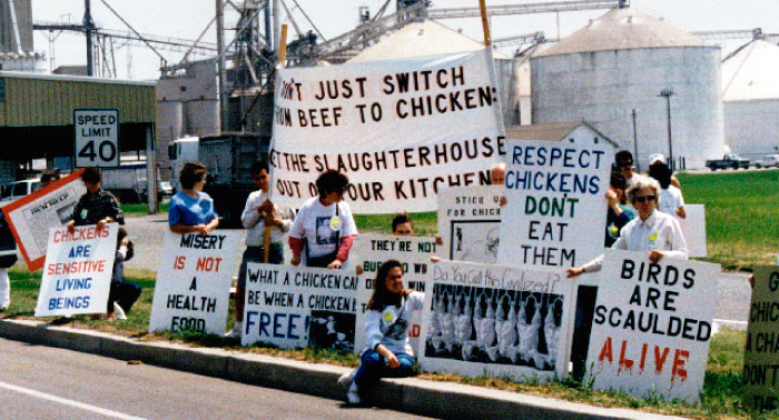 1992 Spring Mourning Vigl for Chickens