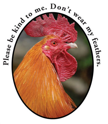 Please be kind to me. Don't wear my feathers.