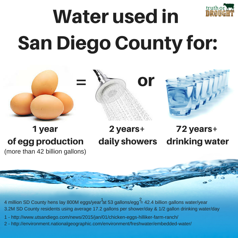 truth or drought eggs