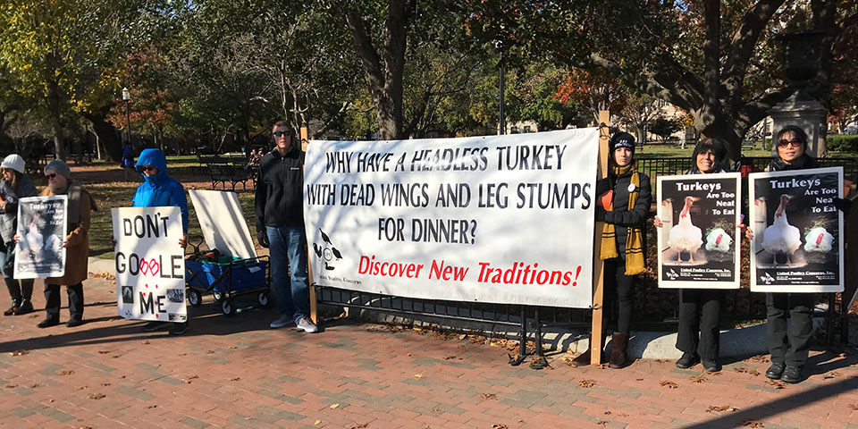 2018 White Leafleting for Turkeys