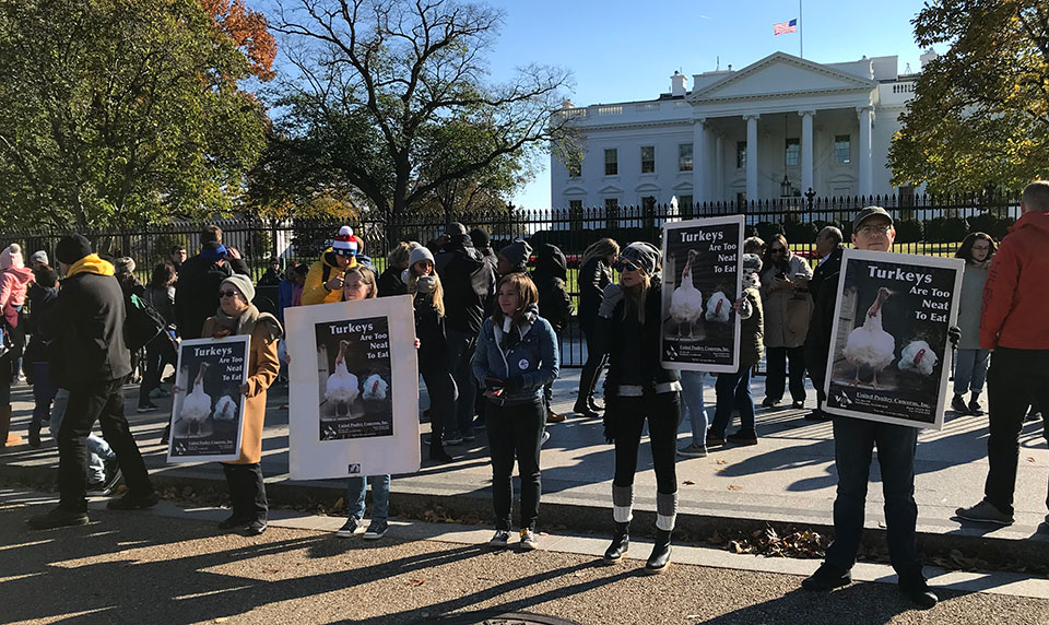 2018 White Leafleting for Turkeys3