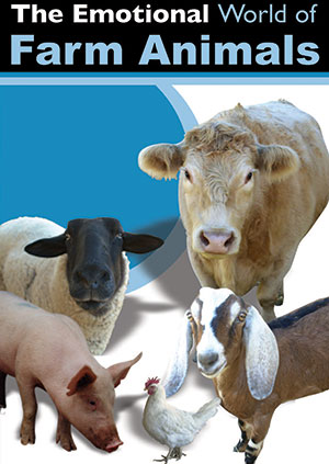 The Emotional World of Farm Animals