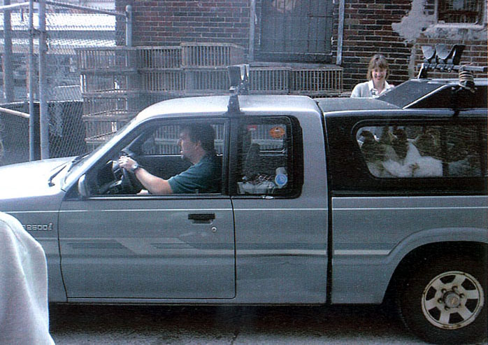 A “freedom van” takes off with its lucky passengers