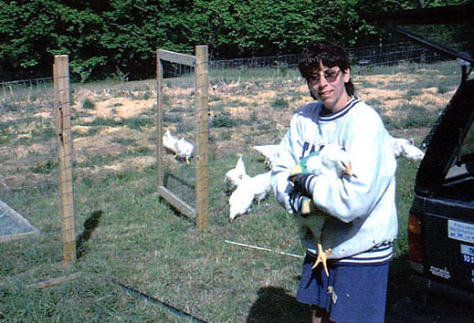 Pam Radzvilowicz introduces some hens to a new life in Connecticut
