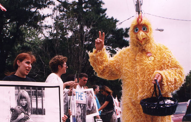 Chicken Suit