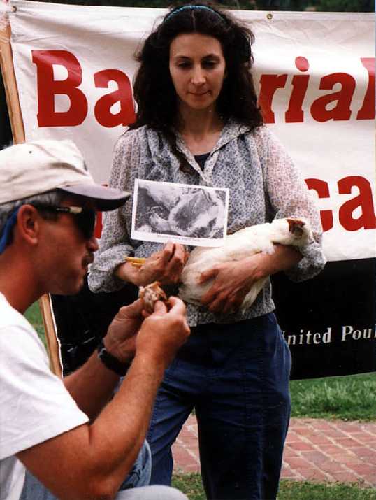 Encinitas Street Fair, CA