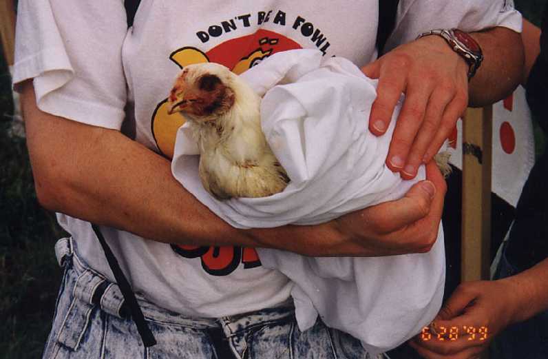 Perdue Chicken 2