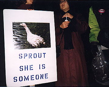 1998 Turkey Vigil