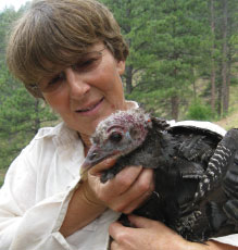 Lisa Kemmerer