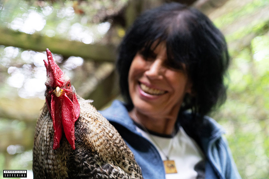 Rooster Rainbow with Karen Davis