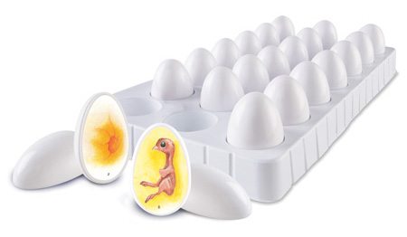 chick_life_cycle_exploration_set (19K)