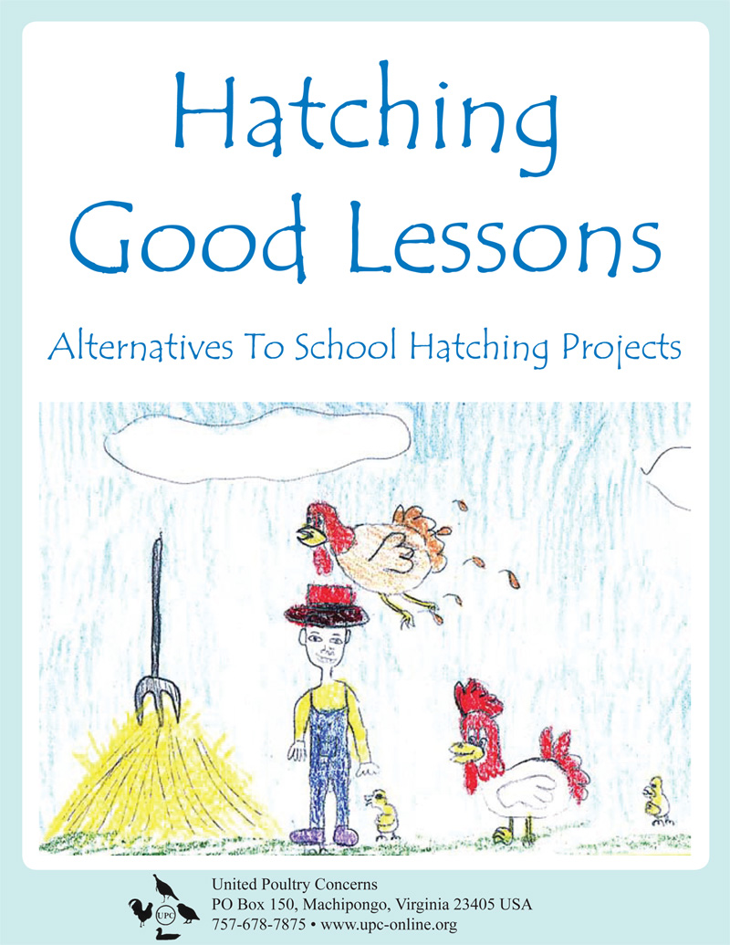 hatching good lessons