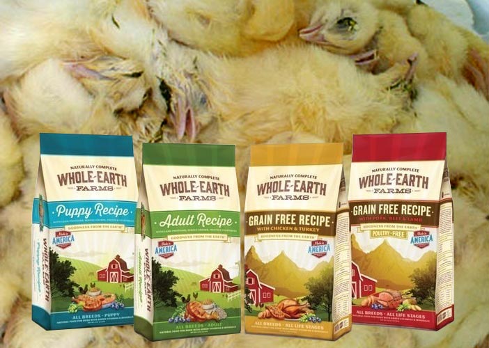 Whole-Earth pet food next to dead chicks