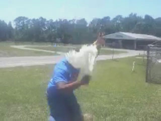 Hawthorne High School Chicken Bashing