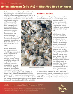 Avian Influenza (Bird Flu)