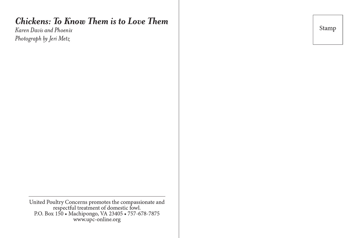 Chickens: To Know Them is to Love Them (back)