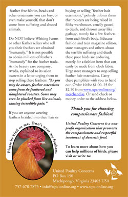 feather hair extension back