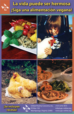 go vegan booklet spanish