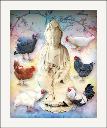 mother of compassion beth redwood