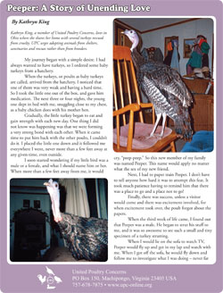 Peeper: A Story of Unending Love