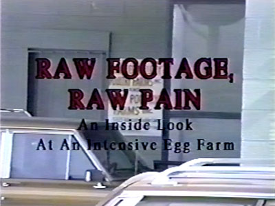 Raw Footage, Raw Pain