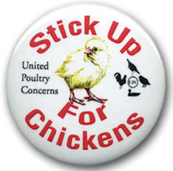 stick up for chickens button