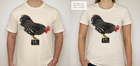 too neat rooster models-s