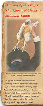 Kapparot Brochure