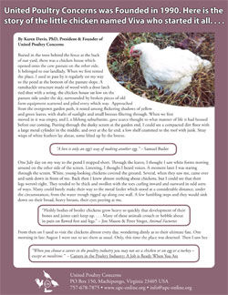 Viva, the Chicken Hen / Chickens Raised for Meat