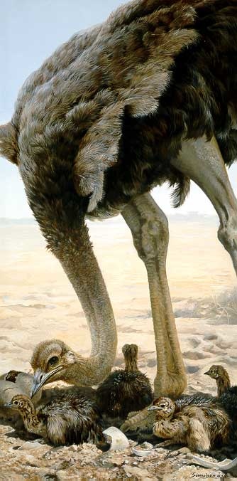 Ostrich Painting
