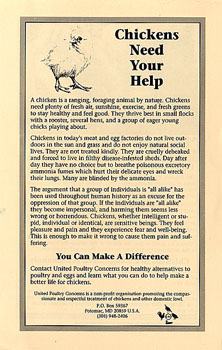 Chicken for Dinner - Back