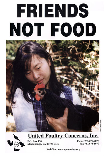 Friends Not Food