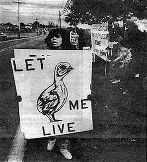 Maple Lawn Protest