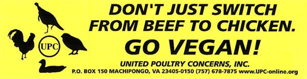 [Don't Just Switch from Beef to Chicken: Go Vegan!]