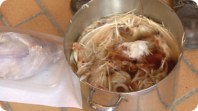 alberta academy after the killing