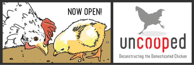 uncooped now open