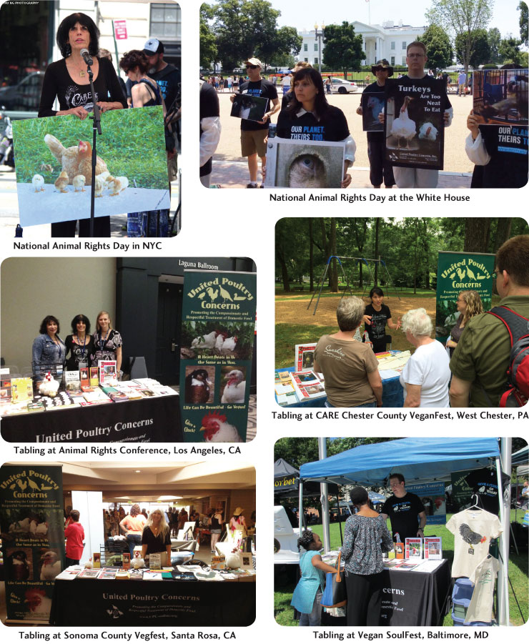 summer activism highlights